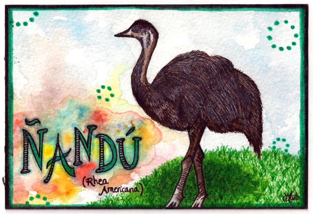 nandu