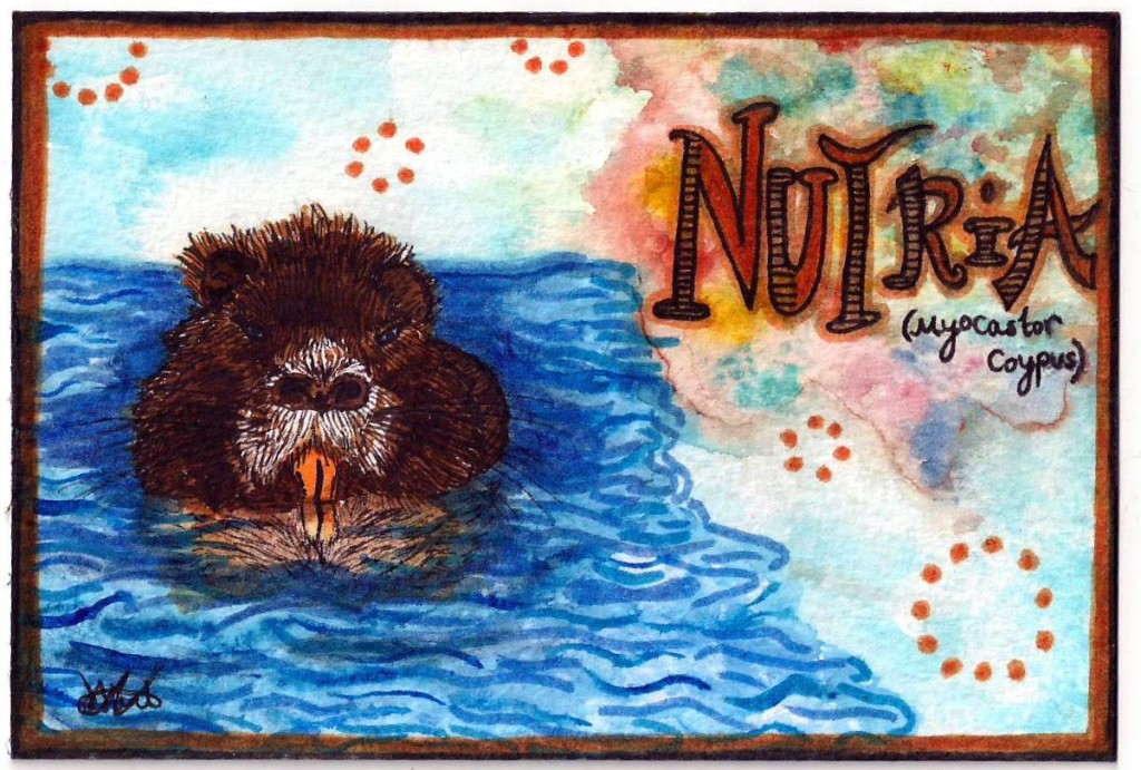 nutria